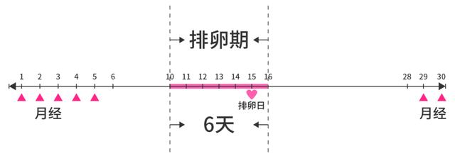 这两个月没排卵，探索原因与应对策略