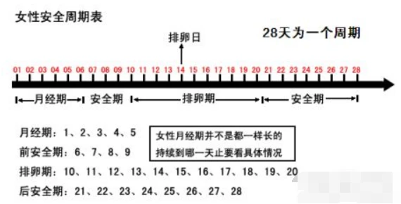 每个月排卵期是什么时候，深入了解女性生理周期的关键一环