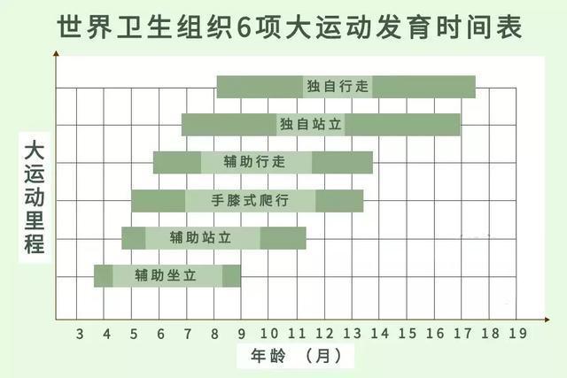 八个月的宝宝，成长里程碑与身高发展（身高73厘米）