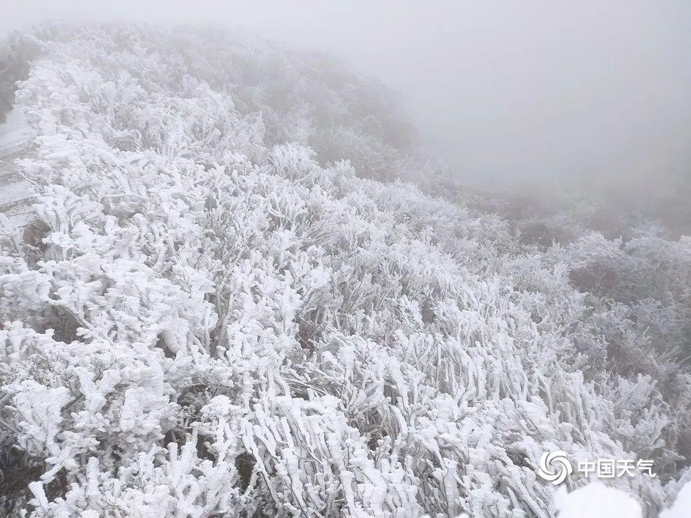 广东省雨雪天气的独特魅力与挑战