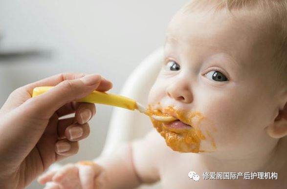 六个月孕妇的饮食指南，吃什么最好？