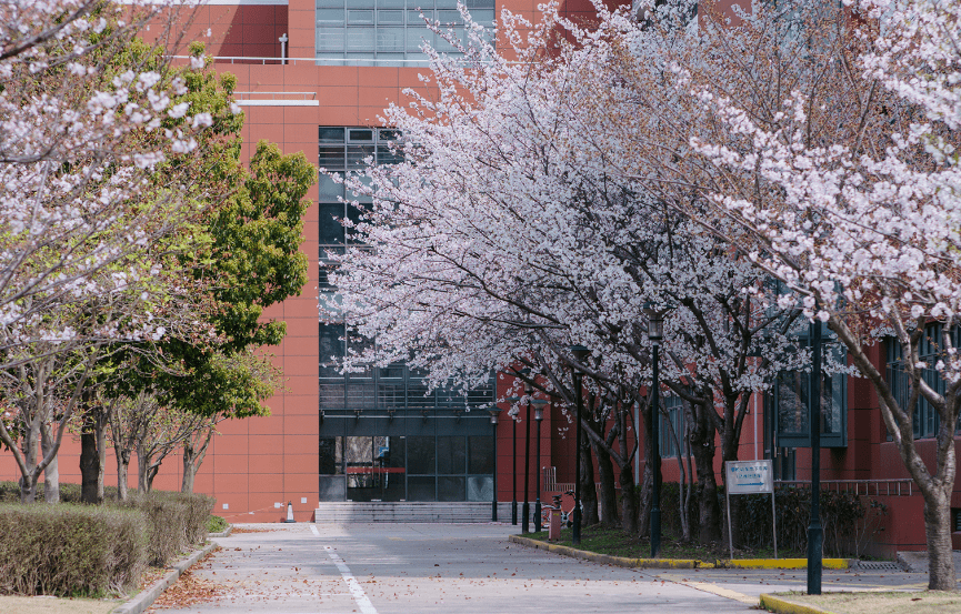 广东省师范大学排名及其影响力探讨